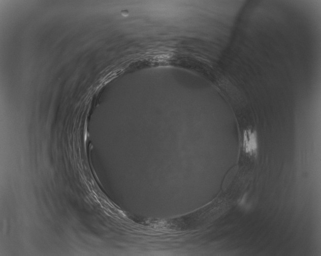 X0000085841155200703161343