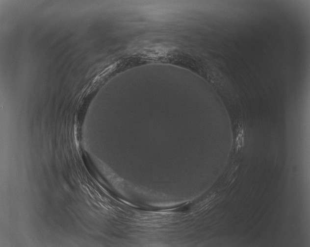X0000085841156200703161343