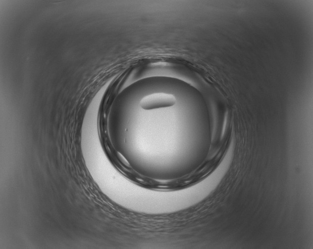 X0000085841157200703161343