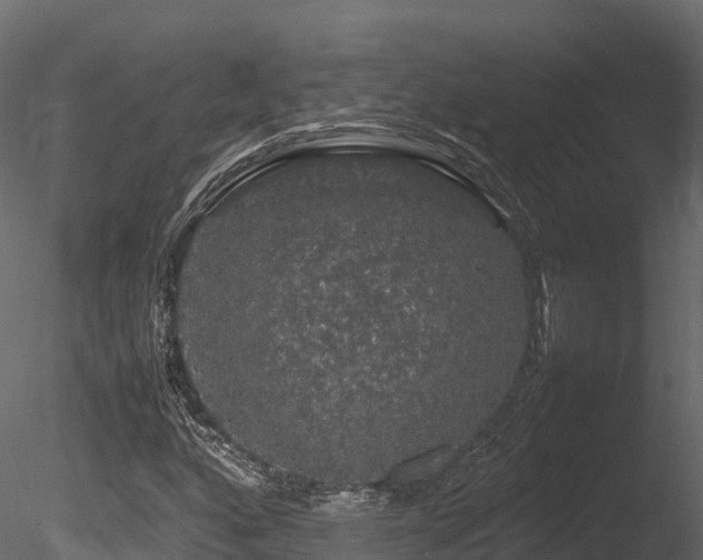 X0000085841160200703161343