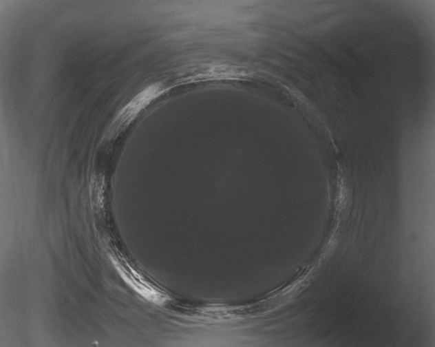 X0000085841161200703161343