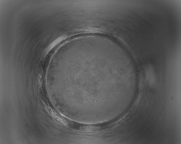 X0000085841163200703161343