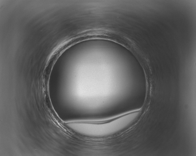 X0000085841164200703161343