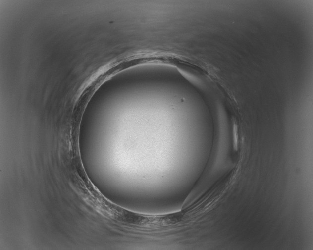 X0000085841165200703161343
