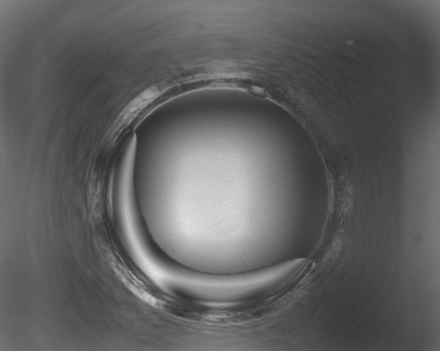 X0000085841169200703161343