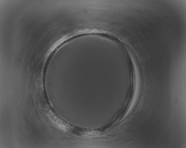 X0000085841173200703161343