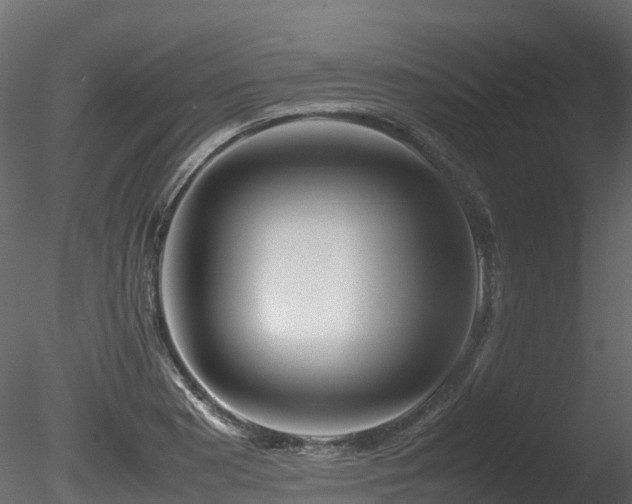 X0000085841177200703161343