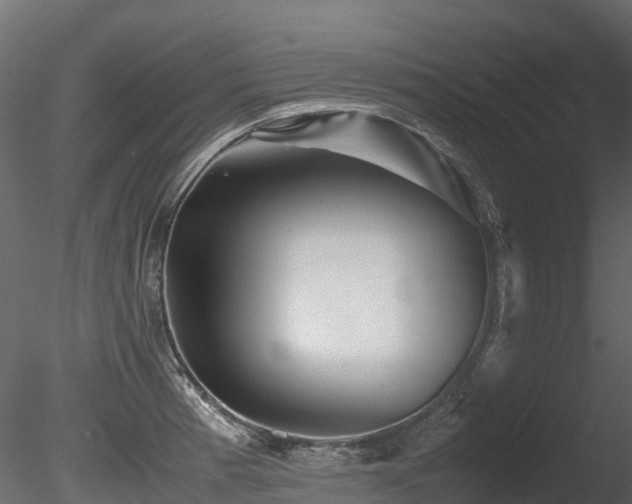 X0000085841185200703161342