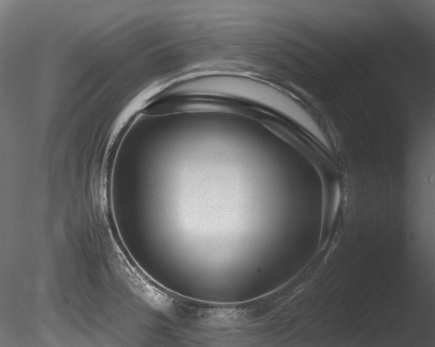 X0000085841188200703161342