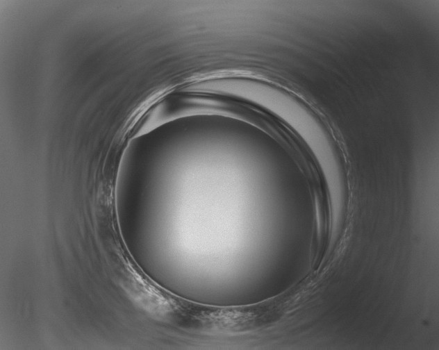 X0000085841193200703161342