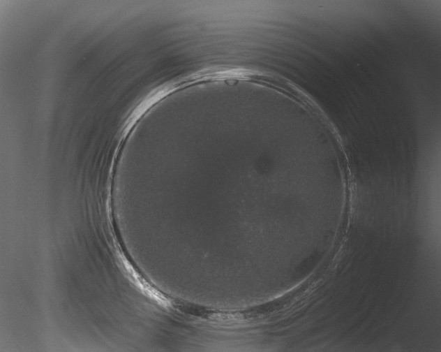 X0000085841194200703161342