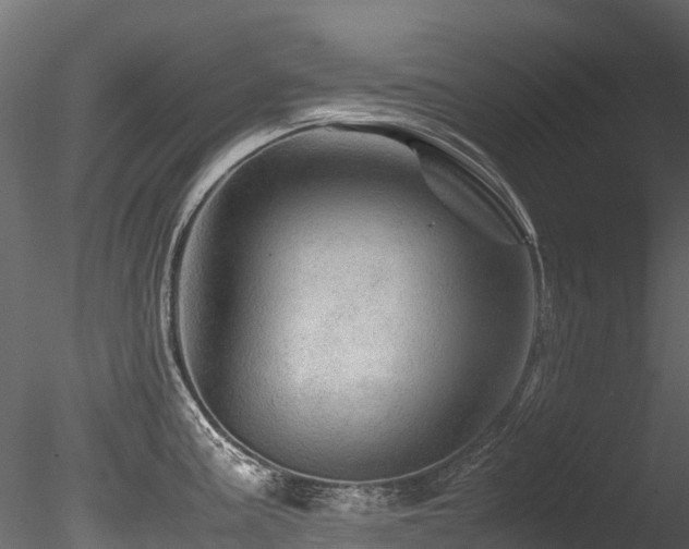 X0000085841195200703161342