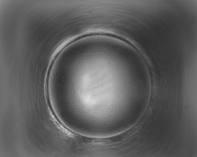 X0000085841199200703161342