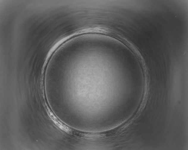 X0000085841200200703161342