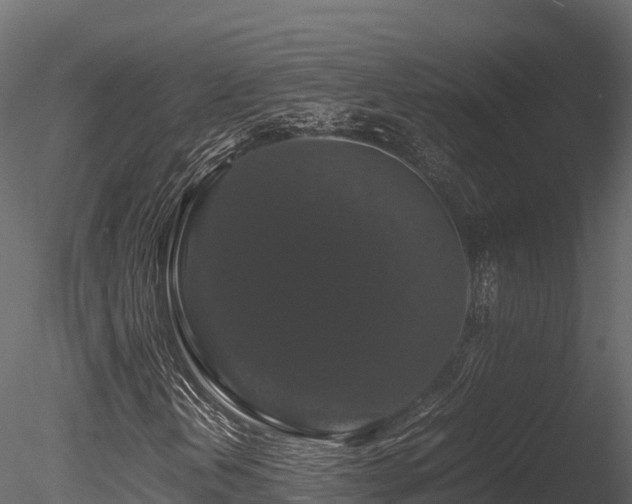 X0000085841202200703161341