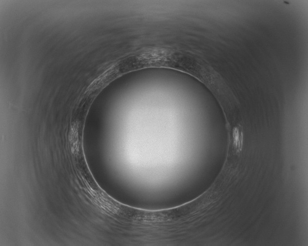 X0000085841203200703161341