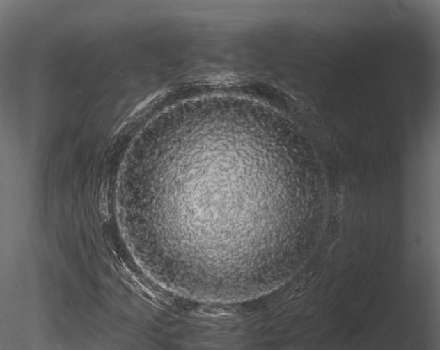 X0000085841205200703161341