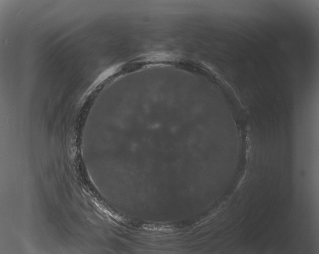 X0000085841213200703161342