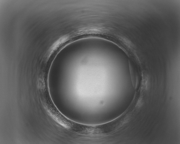 X0000085841218200703161342