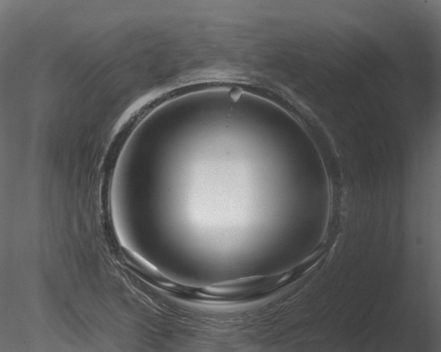 X0000085841222200703161342