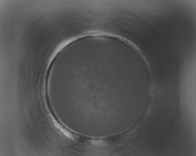 X0000085841231200703161342