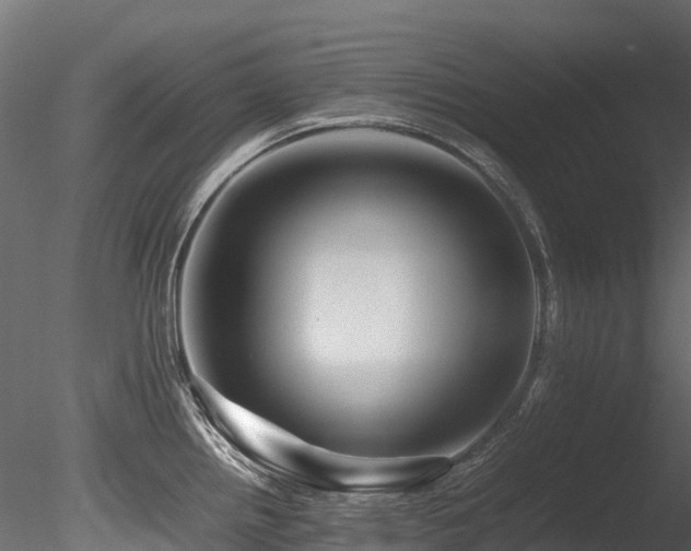 X0000085841242200703161342