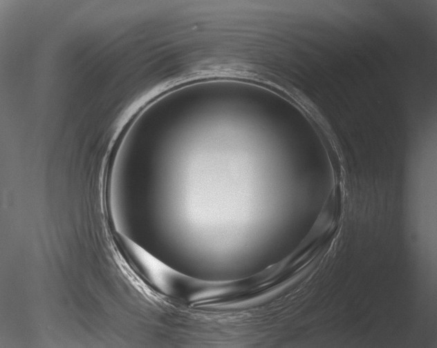 X0000085841246200703161342