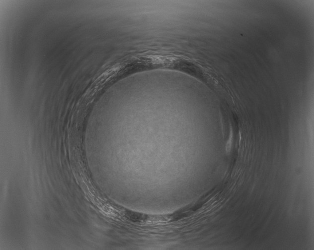 X0000085841249200703161341