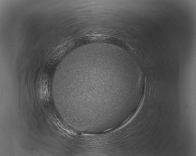X0000085841250200703161341