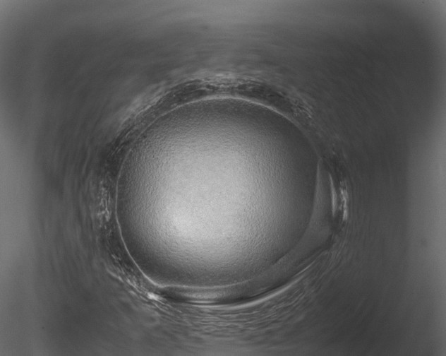 X0000085841253200703161341