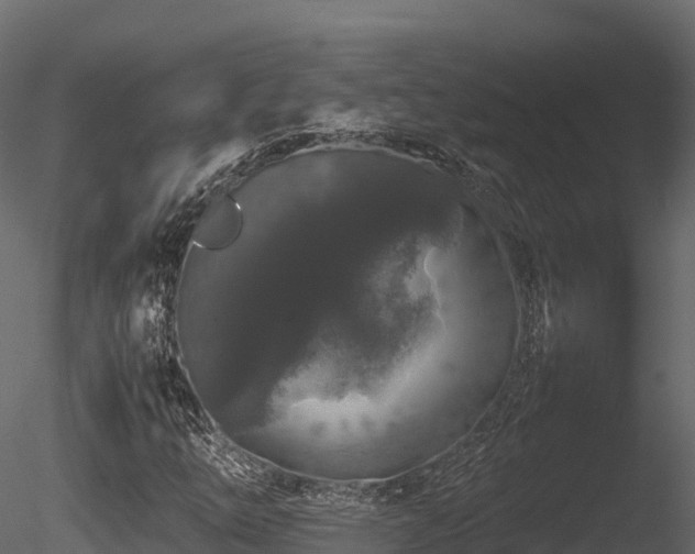 X0000085841254200703161341