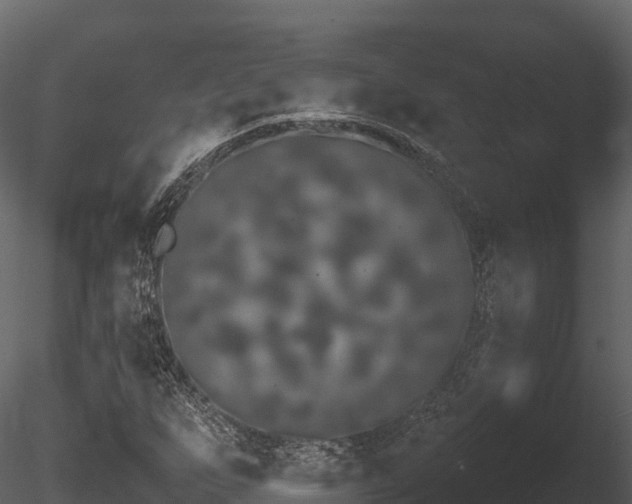 X0000085841255200703161341