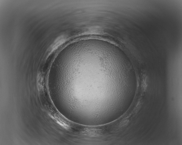 X0000085841258200703161341