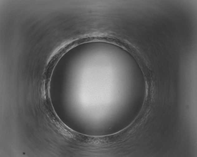 X0000085841262200703161341