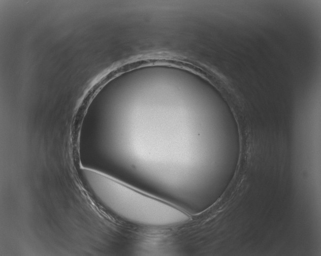 X0000085841264200703161341