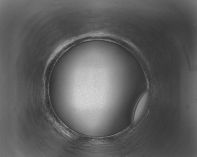 X0000085841270200703161341
