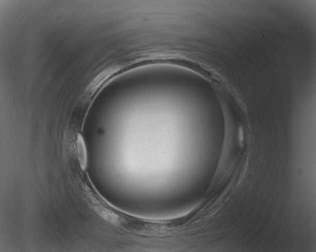 X0000085841273200703161341