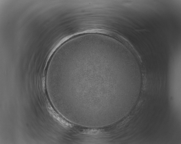 X0000085841284200703161341