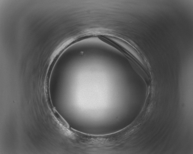 X0000085841285200703161341