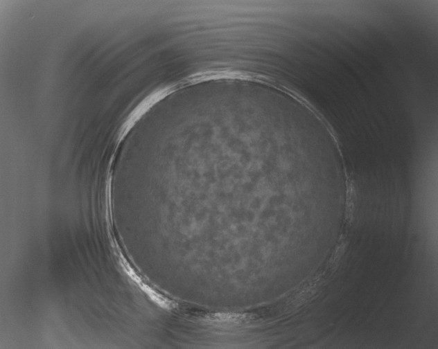 X0000085841290200703161341