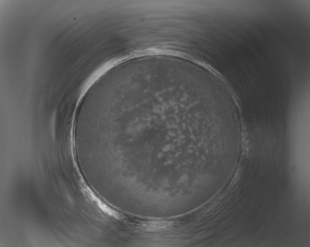X0000085841294200703161340