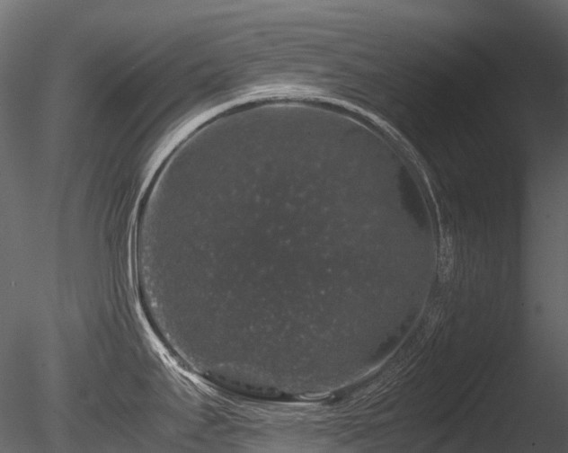 X0000085841295200703161340