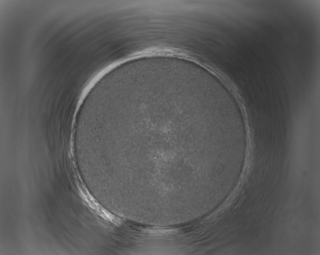 X0000085841296200703161340