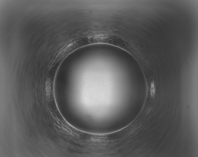 X0000085841299200703161340