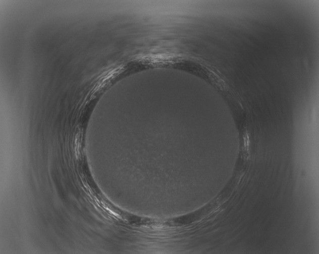 X0000085841300200703161340