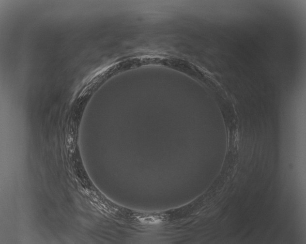 X0000085841303200703161340