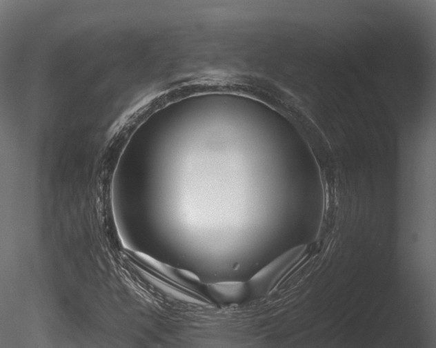 X0000085841304200703161340