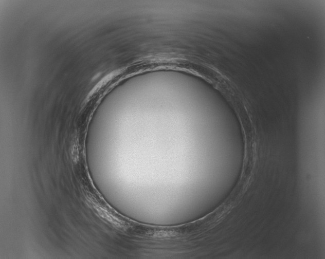 X0000085841306200703161340