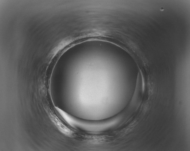 X0000085841308200703161340