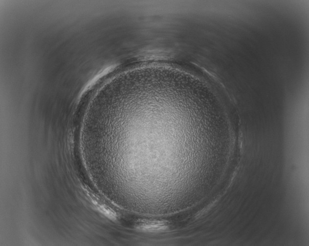 X0000085841309200703161340